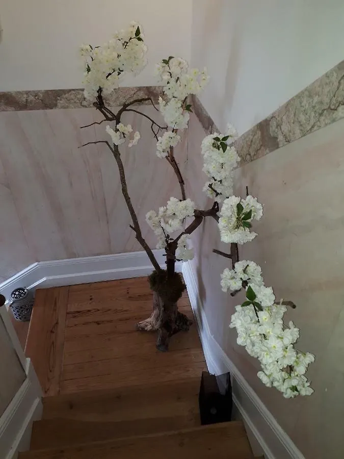 Casa Coimbra Hotel Guest house